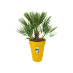 loft urban rond haut 35cm ocre